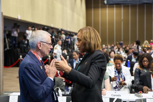 David Cooper, CBD Deputy Executive Secretary, and Gyles-McDonnough, UN Executive Office of the Secretary-General