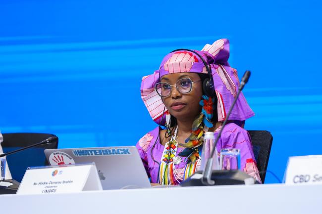 Hindou Oumarou Ibrahim, Indigenous Women and Peoples Association of Chad