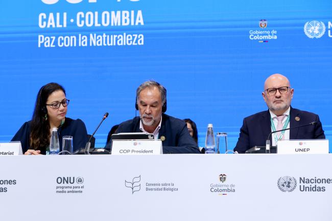 From L-R: Christine Estrada, CBD Secretariat; Mauricio Cabrera Leal, Colombia; and Juan Bello, UN Environment Programme