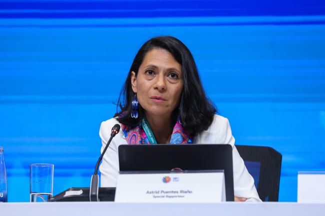 Astrid Puentes Riaño, UN Special Rapporteur on the human right to a clean, healthy and sustainable environment