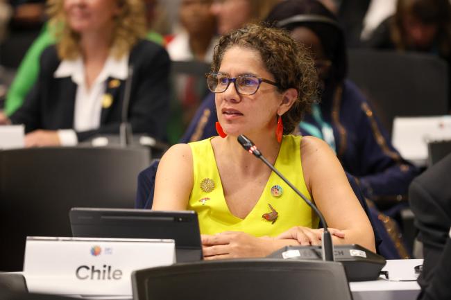 Maisa Rojas, Minister of the Environment, Chile