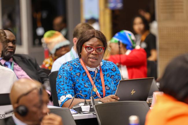 Ophelia Mensah Hayford, Minister for Environment, Science, Technology and Innovation, Ghana