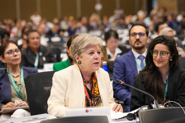 Alicia Bárcena, Secretary of the Environment and Natural Resources, Mexico 