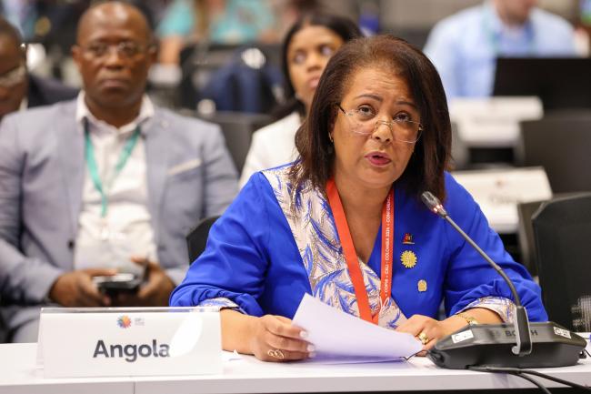 Ana Paula Chantre Luna de Carvalho, Minister of the Environment, Angola