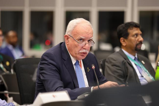  Riyad al-Maliki, Foreign Affairs Minister, Palestine