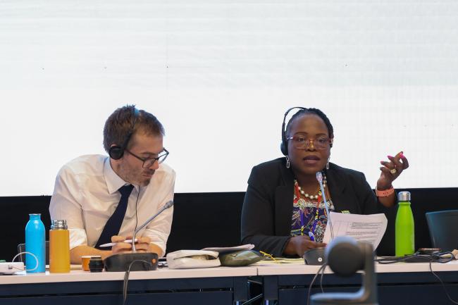Contact Group on DSI Co-Chairs William Lockhart, UK, and Lactitia Tshitwamulomoni, South Africa
