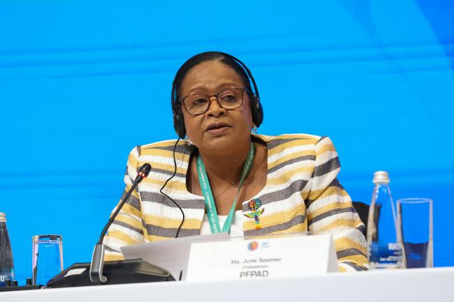 June Soomer, Chairperson, United Nations Permanent Forum on People of African Descent