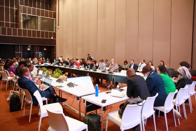 View of the room during a contact group on biodiversity and health