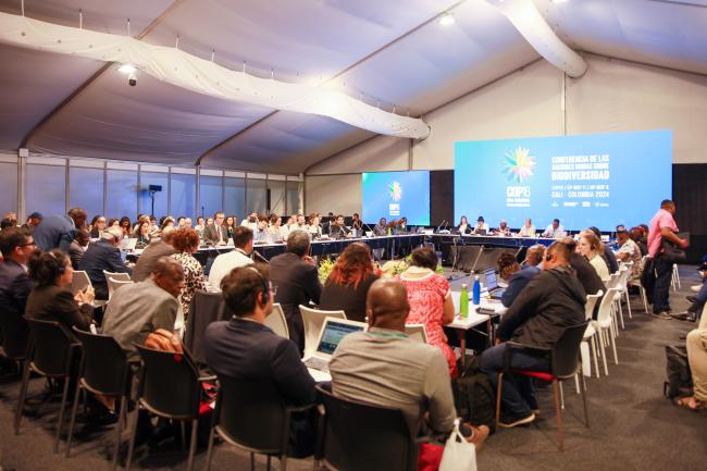 View of the room during a contact group on Article 8J