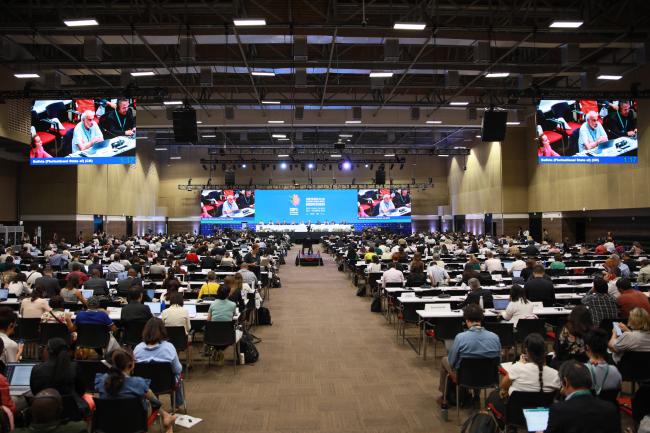 View of the room during Working Group I