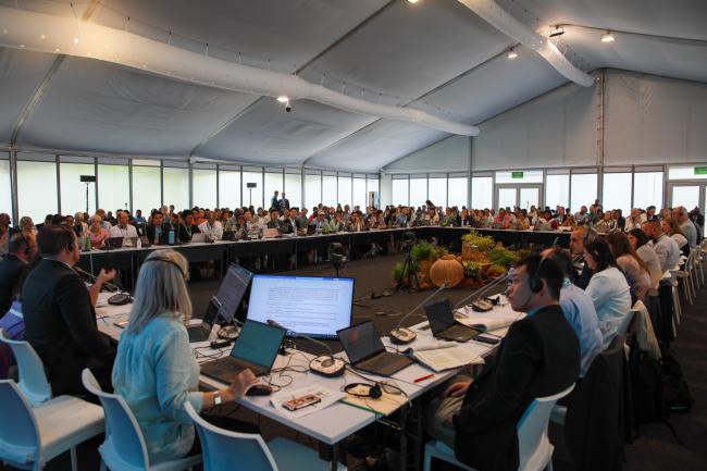 View of the room during the Contact Group on marine and coastal biodiversity and island biodiversity