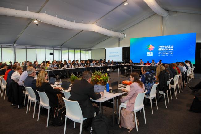 View of the room during the Contact Group on synthetic biology 
