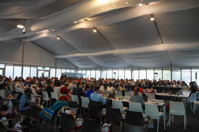 View of the room during the Contact Group on Article 8(j)