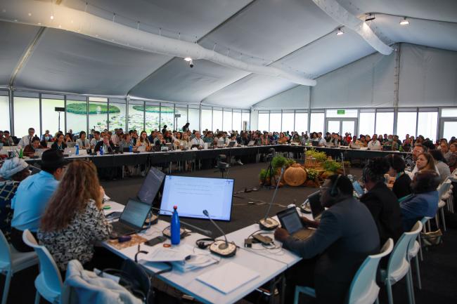 View of the room during the Contact Group on Article 8(j)