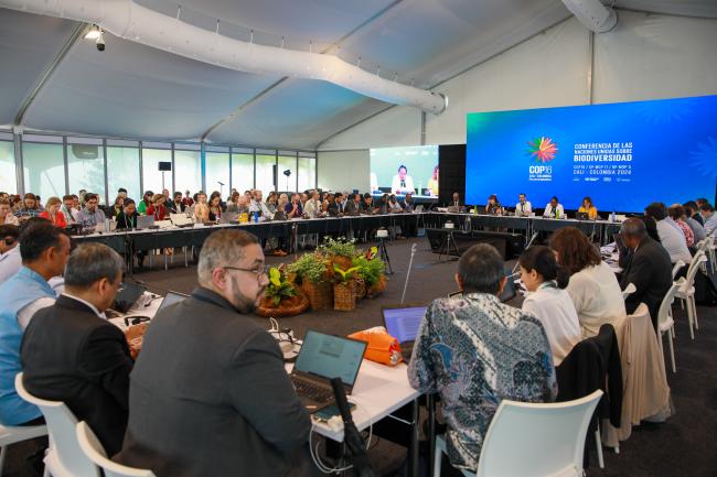 View of the room during the Contact Group on DSI