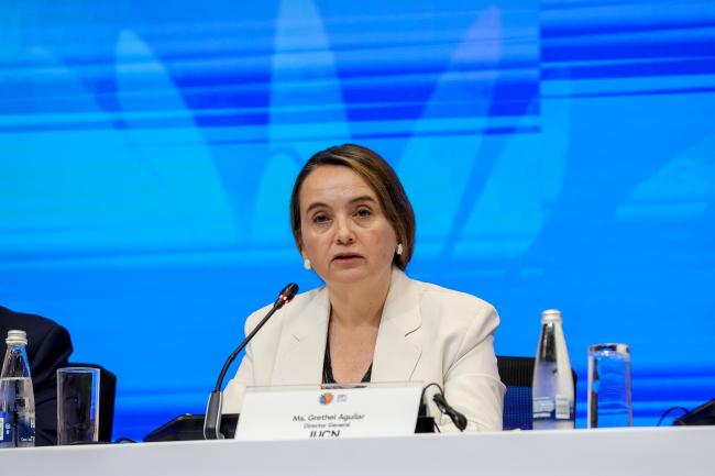 Grethel Aguilar, Director-General, IUCN