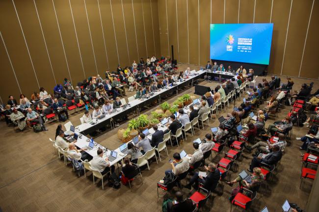 View of the room during the Contact Group on risk assessment and risk management