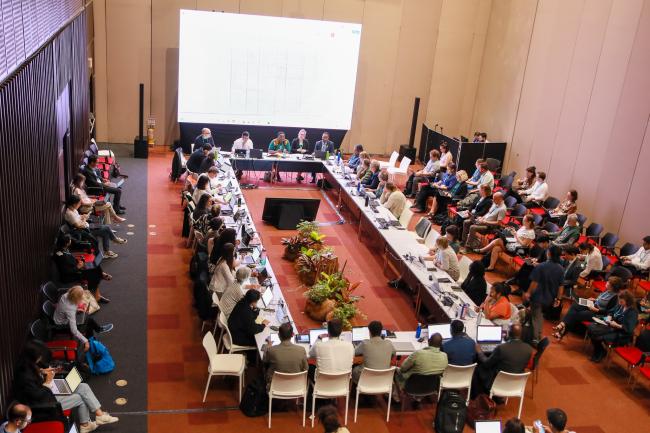 View of the room during the Contact Group on capacity-building and development 