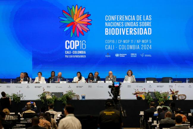 View of the dais during the High-level session
