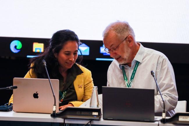 Contact Group on the financial mechanism Co-Chairs Laura Bermúdez Wilches, Colombia, and Ladislav Miko, Czechia
