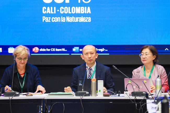 From L-R: Contact Group on scientific and technical needs Co-Chairs Senka Barudanović, Bosnia and Herzegovina, and Wataru Suzuki, Japan; and Jihyun Lee, CBD Secretariat