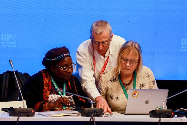 Contact Group on Article 8(j) Co-Chairs Lucy Mulenkei, Indigenous Information Network, and Pernilla Malmer, Sweden, with David Cooper, CBD Deputy Executive Secretary