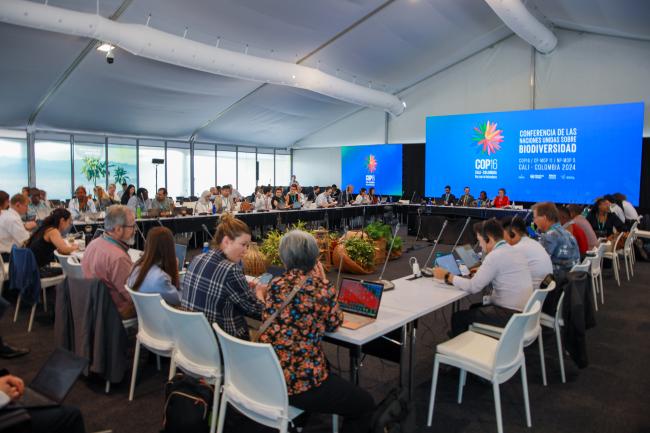 View of the room during the Contact Group on synthetic biology