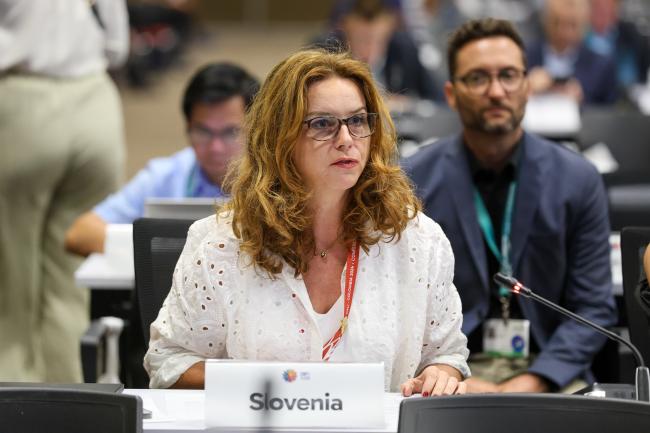 Maša Kociper, State Secretary for Relations with the National Assembly, Slovenia