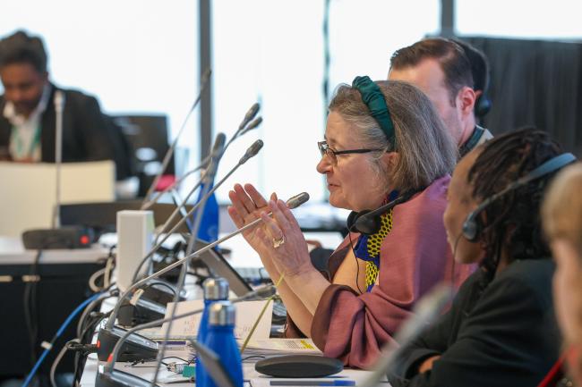 Contact Group on synthetic biology Co-Chair Marja Ruohonen-Lehto, Finland