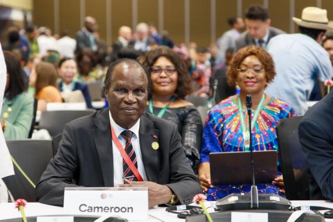 Pierre Hele Minister of Environment, Protection of Nature and Sustainable Development, Cameroon
