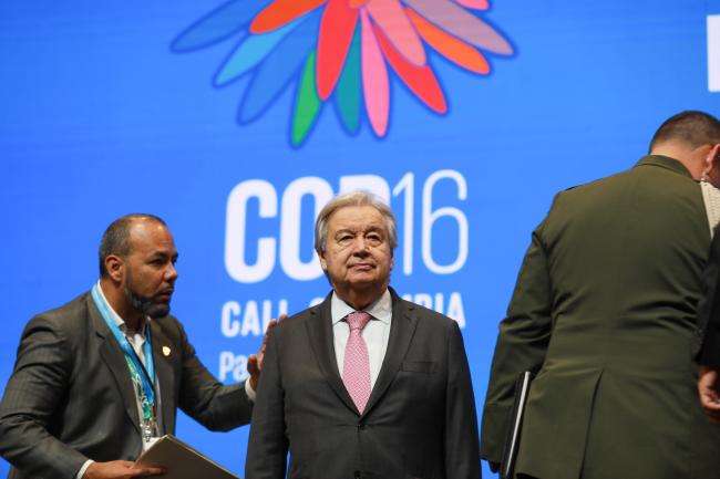 UN Secretary-General António Guterres