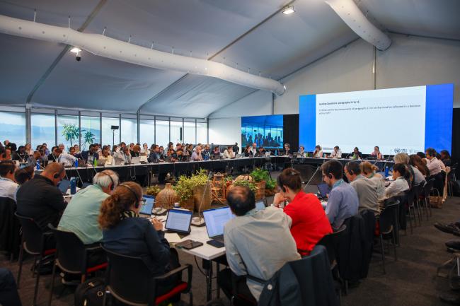 View of the room during the Contact Group on DSI