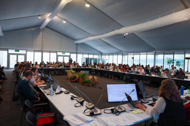 View of the room during the Contact Group on synthetic biology