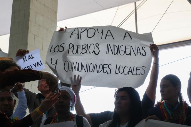 Biodiversity Actions