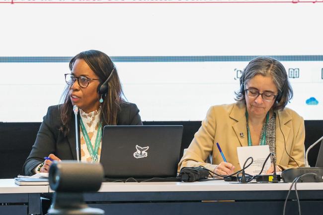 Contact Group on mechanisms for planning, monitoring, reporting and review Co-Chairs Gillian Guthrie, Jamaica, and Carolina Caceres, Canada