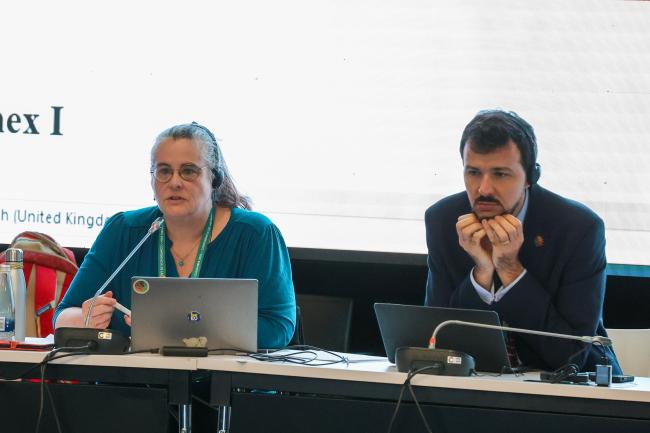 Contact Group on resource mobilization Co-Chairs Ines Verleye, Belgium, and Patrick Luna, Brazil