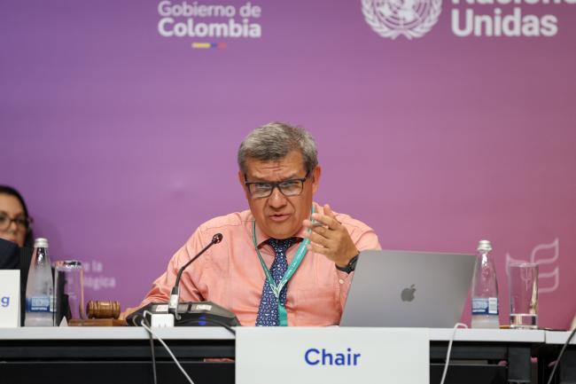 Working Group II Chair Hesiquio Benítez Díaz, Mexico