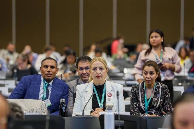 The Tunisian delegation