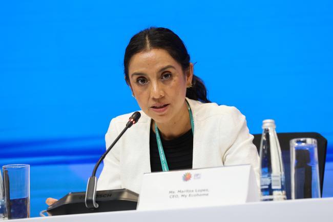 Maritza Lopez, CEO, My Ecohome