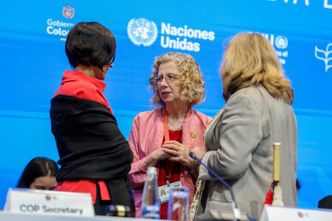 Inger Andersen, Executive Director, UNEP