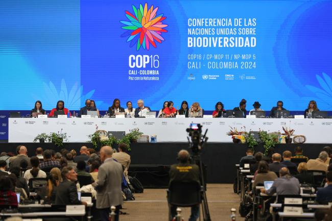 View of the dais during the plenary session