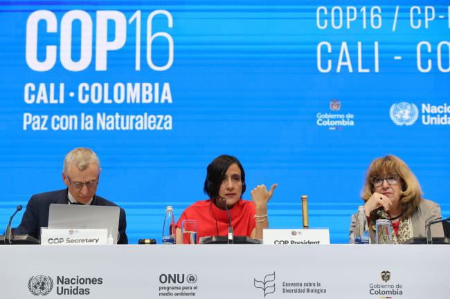 From L-R: David Cooper, CBD Deputy Executive Secretary; COP 16 President Susana Muhamad, Colombia; and Astrid Schomaker, Executive Secretary, CBD