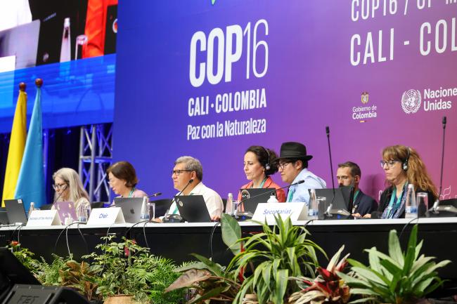 View of the dais during Working Group II