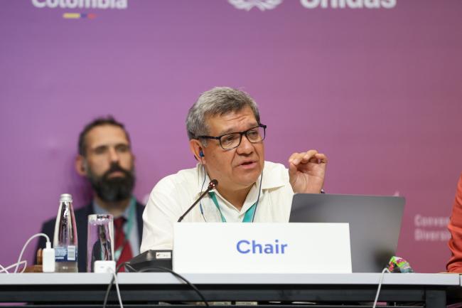 Working Group II Chair Hesiquio Benítez Díaz, Mexico