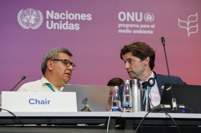 Working Group II Chair Hesiquio Benítez Díaz, Mexico, and Tristan Tyrrell, CBD Secretariat