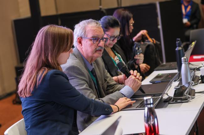 Contact Group on Mainstreaming Co-Chair Braulio Ferreira de Souza Dias, Brazil