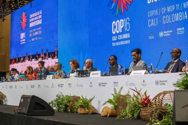 View of the dais during Working Group II