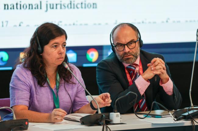 Contact Group on marine and coastal biodiversity and island biodiversity Co-Chairs Erica Lucero, Argentina, and Gaute Hanssen, Norway