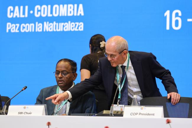 SBI 5 Chair Chirra Achalender Reddy, India, and SBI 5 Secretary Neil Pratt