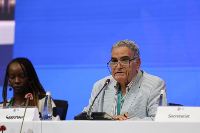 Meeting Rapporteur Moustafa Fouda, Egypt